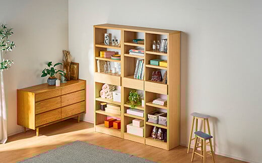 書棚 60cm幅 リーブル【諸富家具】：C145-009