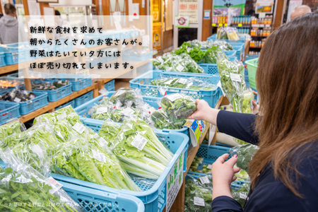 新鮮・季節の野菜詰め合わせ：B120-006