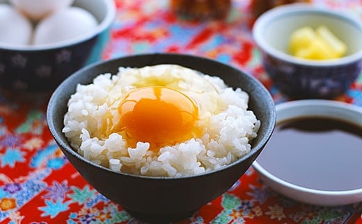 【新米】令和7年産 佐賀県産 さがびより 白米 10kg（5kg×2袋）おこめ 米 ：B320-014