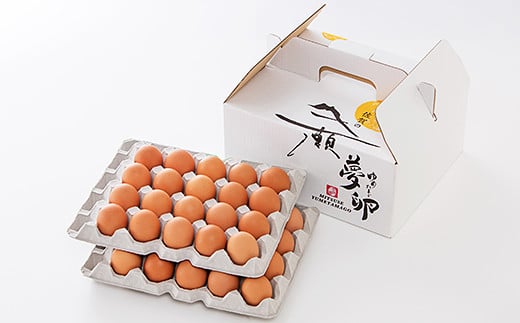 三瀬バウム2段BOXと壮健美卵40個入のセット：B300-002