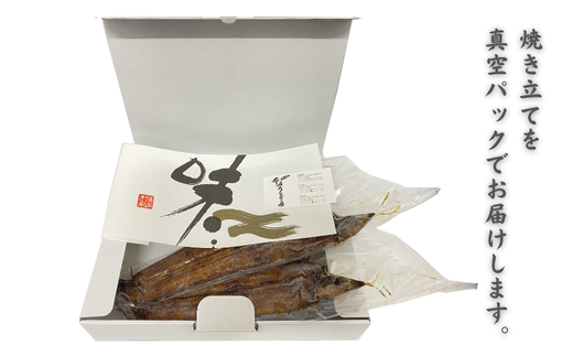 「本庄うなぎ屋」の国産鰻の蒲焼 2尾（2〜3人前）：B335-018
