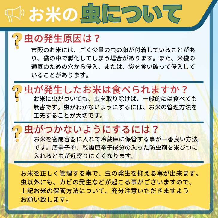 佐賀市ふるさと納税限定 オリジナルブレンド白米 10kg：B240-029