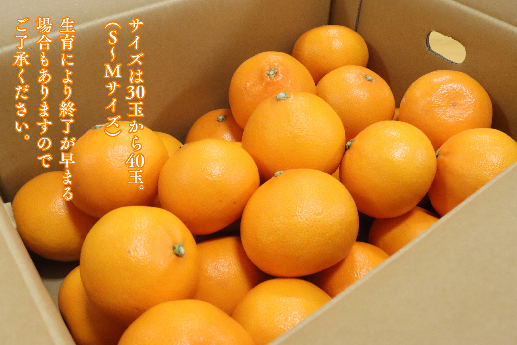 ã1æäžæ¬ïœ2æäžæ¬çºéãäœè³åžå€§åçºç£ã¿ãããããšããïŒB150-077