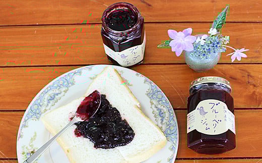 完熟ブルーベリージャムセット：B100-029