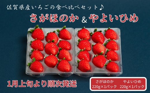 佐賀県産いちご さがほのか&やよいひめセット：B100-040