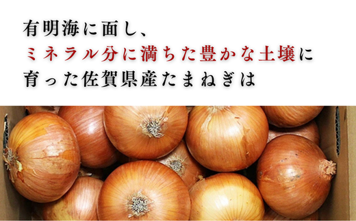 縲先悄髢馴剞螳壹台ス占ウ逵檎肇 縺溘∪縺ュ縺 10kg 譌ャ 驥手除 邇峨ュ縺 荵晏キ 菴占ウ逵 菴占ウ蟶ゑシ咤120-079