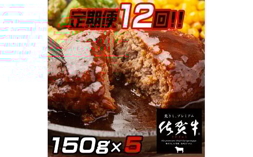 【定期便12回】佐賀牛入りハンバーグ 5個：C115-004