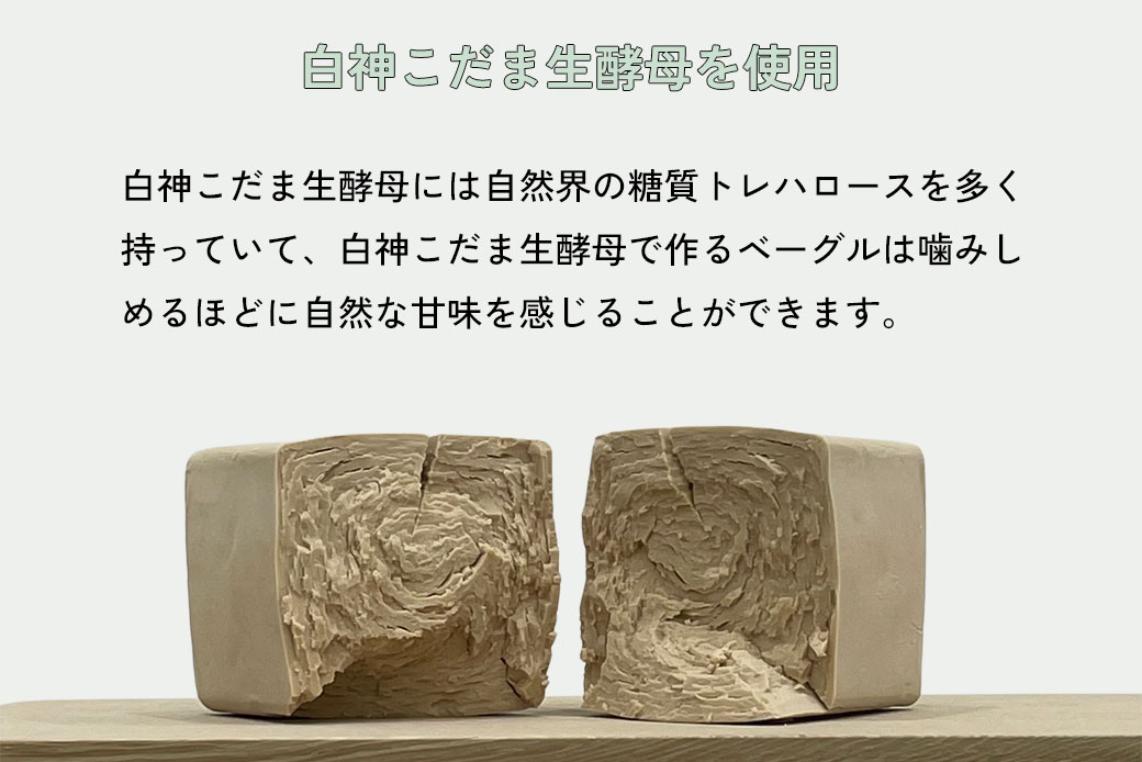 おまかせベーグル5個セット 詰め合わせ もちもち 国産小麦 こだわり食材 パン 冷凍 朝食 ベーグル 行列 人気店 MORE BAGEL 佐賀市：B100-049