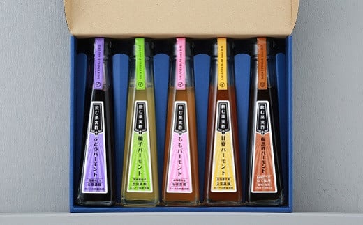 おいしい飲むバーモント酢5本入り：B150-037