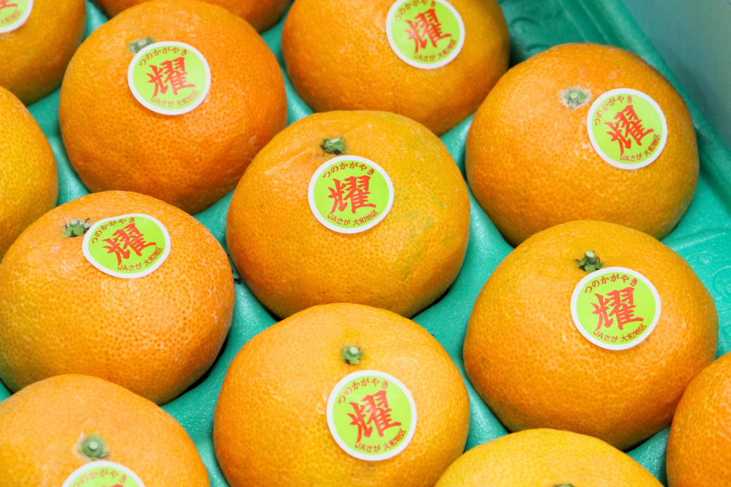 【12月～2月上旬発送】佐賀市大和町産みかん「津の輝」 温州みかん 佐賀みかん 贈答 ギフト：B150-076