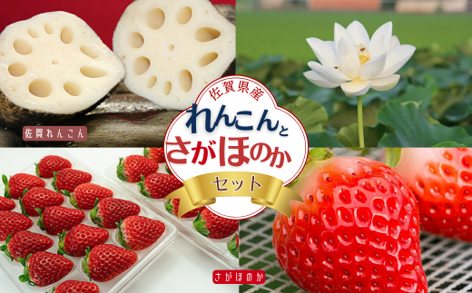 佐賀県産 れんこんとさがほのかのセット：B160-020