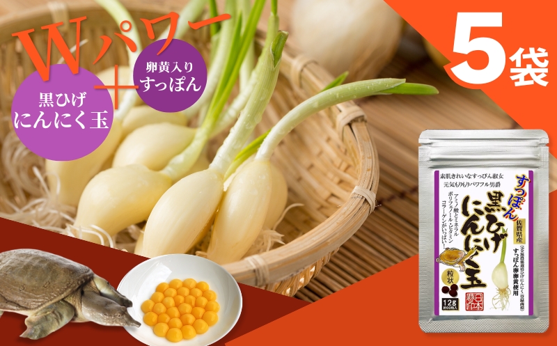 【レターパックライト配送】こつこつ真面目に作った すっぽん黒ひげにんにく玉 5袋セット：B400-023