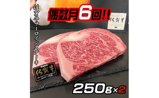 【偶数月定期便（年6回）】佐賀牛ステーキ 250g×2：C172-004