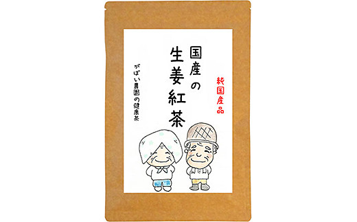 国産 生姜紅茶（3個セット）：B180-008