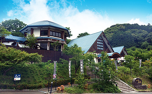 熊の川温泉 ちどりの湯 入浴券10枚＋家族風呂券4枚：B430-004