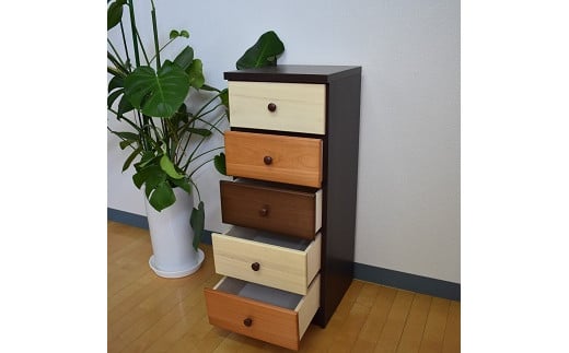 40ã¹ãªã ãã§ã¹ããã«ãŒã³2 äºæ®µã諞å¯å®¶å
·ãïŒB600-002