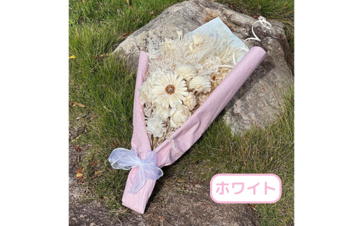 éžã¹ããè²ãã©ã€ãã©ã¯ãŒã«ã©ãŒããŒã± Mãµã€ãºïŒB395-014