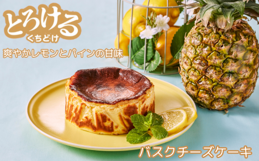 レモン＆パインのバスクチーズケーキ：A080-005