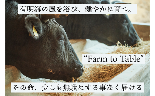 【牧場直送】佐賀牛 赤身ブロック肉 500g：B150-065