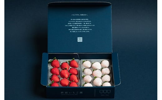 佐賀県産いちご 赤いちごと白いちご 食べ比べセット：B140-067