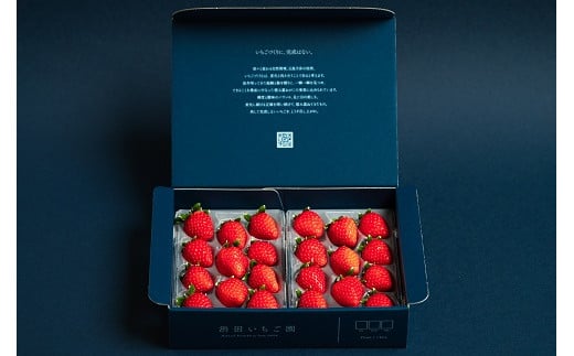 佐賀県産いちご いちごさん&やよいひめセット：B100-041