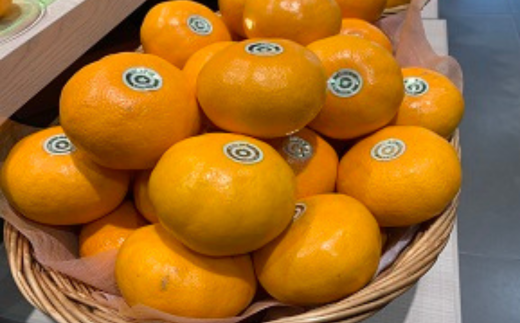 佐賀みかん にじゅうまる：B340-002