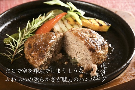 æé«çŽäœè³çåæœã空ç¿ã¶ãã³ããŒã°ã4åïŒãœãŒã¹ä»ïŒïŒB160-016