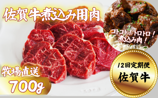 【定期便12回】佐賀牛 煮込み用肉 700g：C172-013