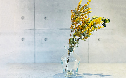 【12回定期便】ドライフラワー：B870-001