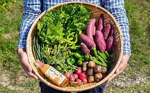 äœè³ç£å£ç¯ã®æ¬éè10çš®é¡ãšãã¬ãã·ã³ã°ïŒB150-030