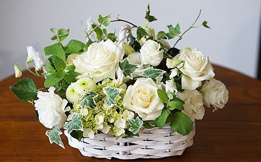 縲仙ョ壽悄萓ソ12蝗槭大ュ」遽縺ョ逕溯干縺ョ繝輔Λ繝ッ繝シ繧「繝ャ繝ウ繧ク繝。繝ウ繝茨シ咾310-003