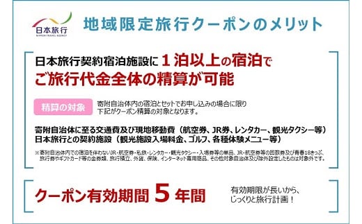 【ふるさと】佐賀県佐賀市 地域限定旅行クーポン 30,000円分 日本旅行 トラベルクーポン 納税チケット 旅行 宿泊券 ホテル 観光 旅行 旅行券 交通費 体験 宿泊 夏休み 冬休み 家族旅行 ひとり旅 カップル 夫婦 親子 佐賀市旅行：C100-036