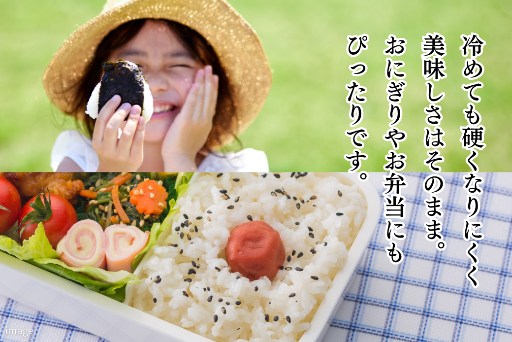 新米 令和7年 佐賀県産 特A米 食べ比べセット「さがびより」5kg「夢しずく」5kg：B240-028