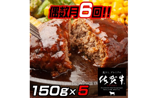 【偶数月定期便（年6回）】佐賀牛入りハンバーグ 5個：B580-003