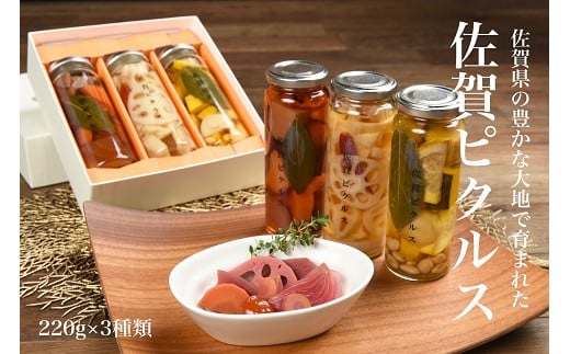 佐賀産熟成お酢使用【佐賀野菜のピクルス】3本：B140-050