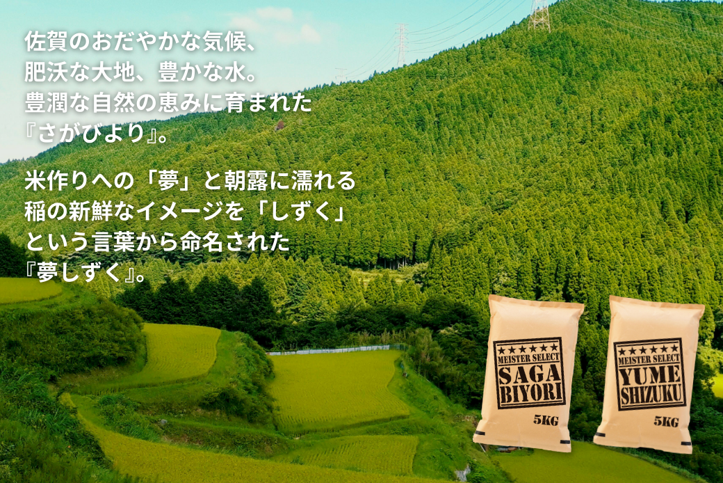 五つ星お米マイスターが厳選！【白米食べ比べ】さがびより5kg・夢しずく5kg 新米 7年産 おこめ 米 ：B325-009