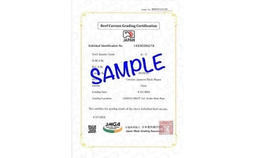 佐賀牛（プレミアム）赤身切り落とし 250g：B100-069