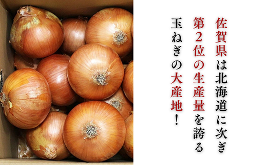 縲先悄髢馴剞螳壹台ス占ウ逵檎肇 縺溘∪縺ュ縺 10kg 譌ャ 驥手除 邇峨ュ縺 荵晏キ 菴占ウ逵 菴占ウ蟶ゑシ咤120-079