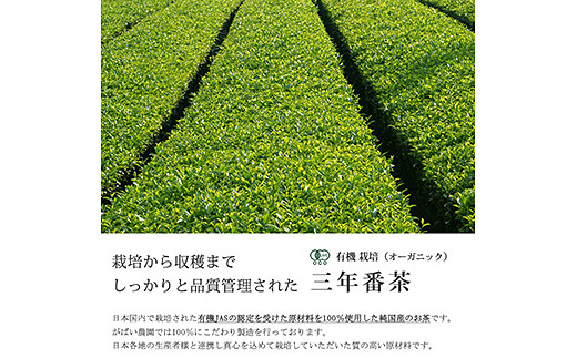有機栽培 三年番茶（3個セット)：B220-004