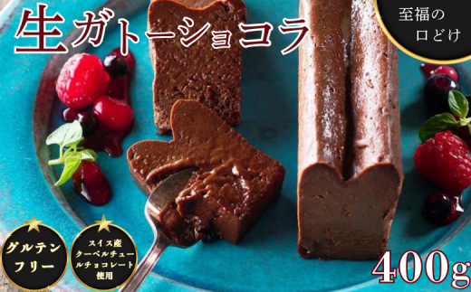 至福の口どけ生ガトーショコラ：B100-002