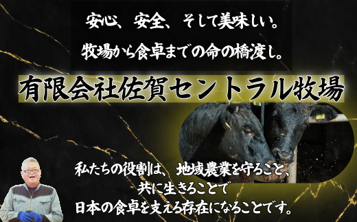 佐賀牛 赤身ステーキ 600g：B200-046