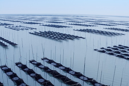 佐賀のり個包装詰合せA：A085-054