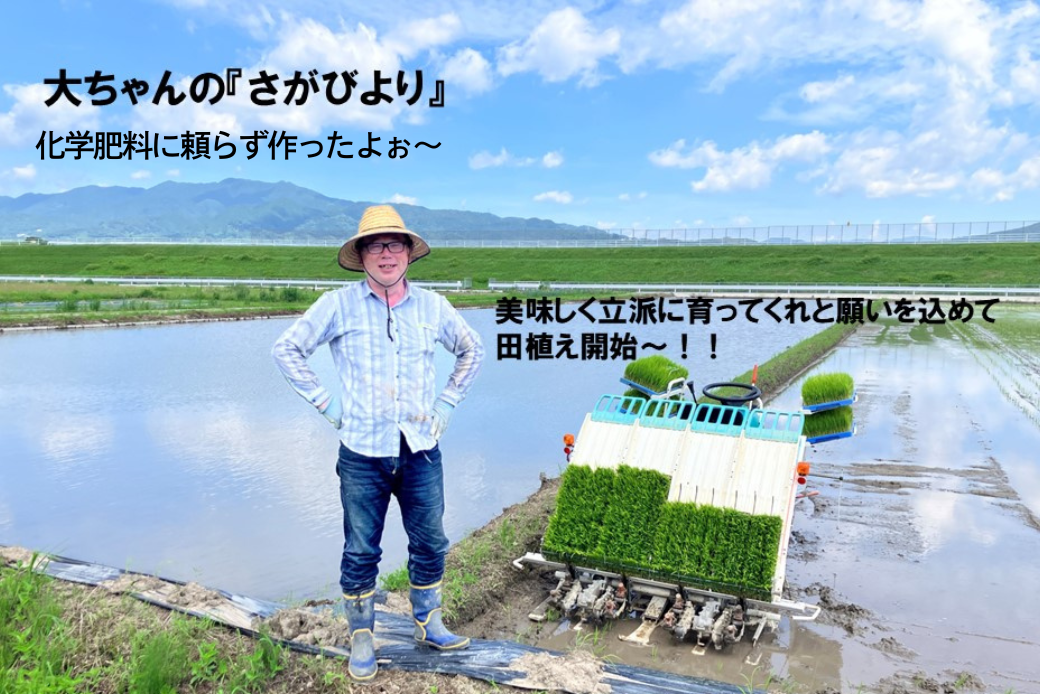 ãæ°ç±³ã什å7å¹Žç£ ãç±³ãã€ã¹ã¿ãŒãå§ããã ãã¡ããã®ãããã³ããã粟米 5kgïŒB165-012