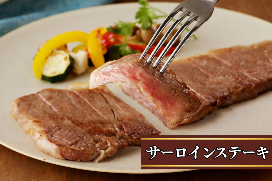 佐賀牛サーロインステーキ 400g・佐賀牛サーロインスライス 300g セット：B355-009