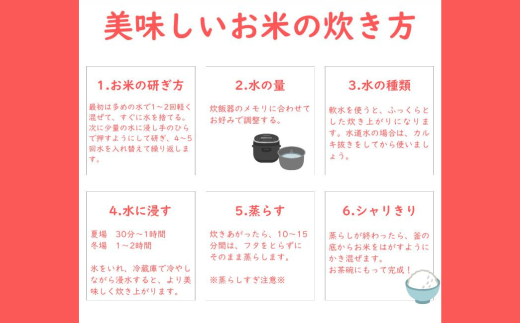 新米 令和7年 佐賀県産 特A米 食べ比べセット「さがびより」5kg「夢しずく」5kg：B240-028