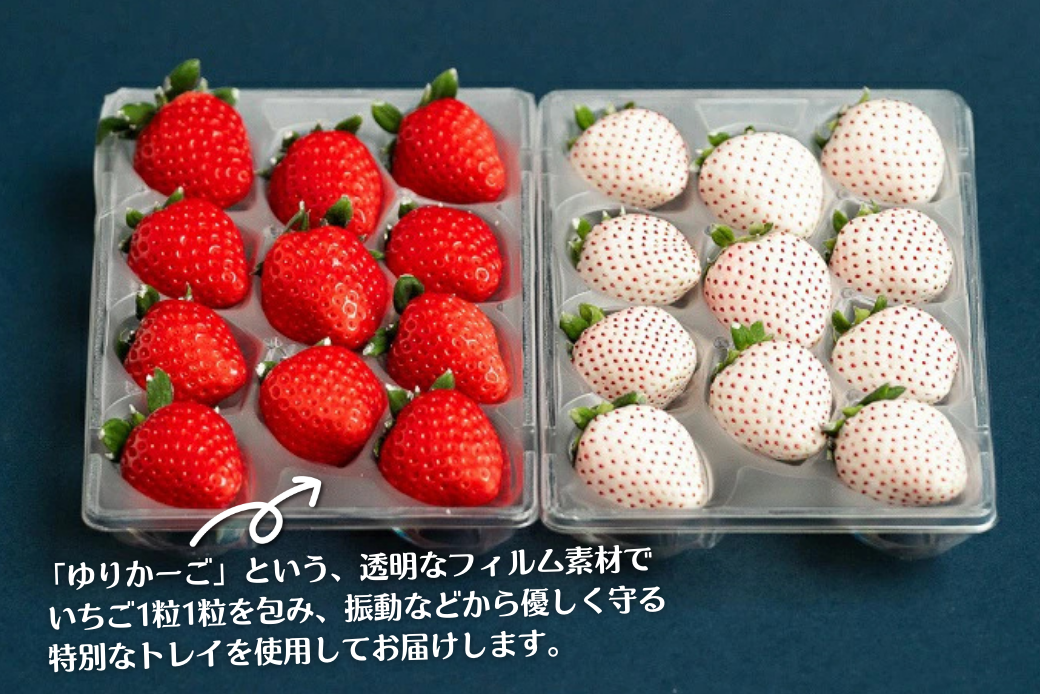 佐賀県産いちご さがほのか＆パールホワイト 紅白セット：B140-008
