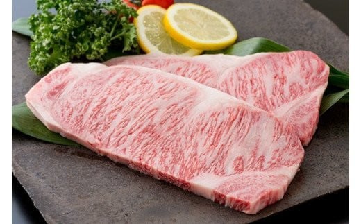 【定期便12回】お楽しみ佐賀牛ざんまい：C232-030