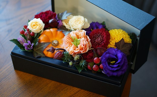 蟄」遽縺ョ逕溯干縺ョ繝輔Λ繝ッ繝シ繝懊ャ繧ッ繧ケシ咤160-019