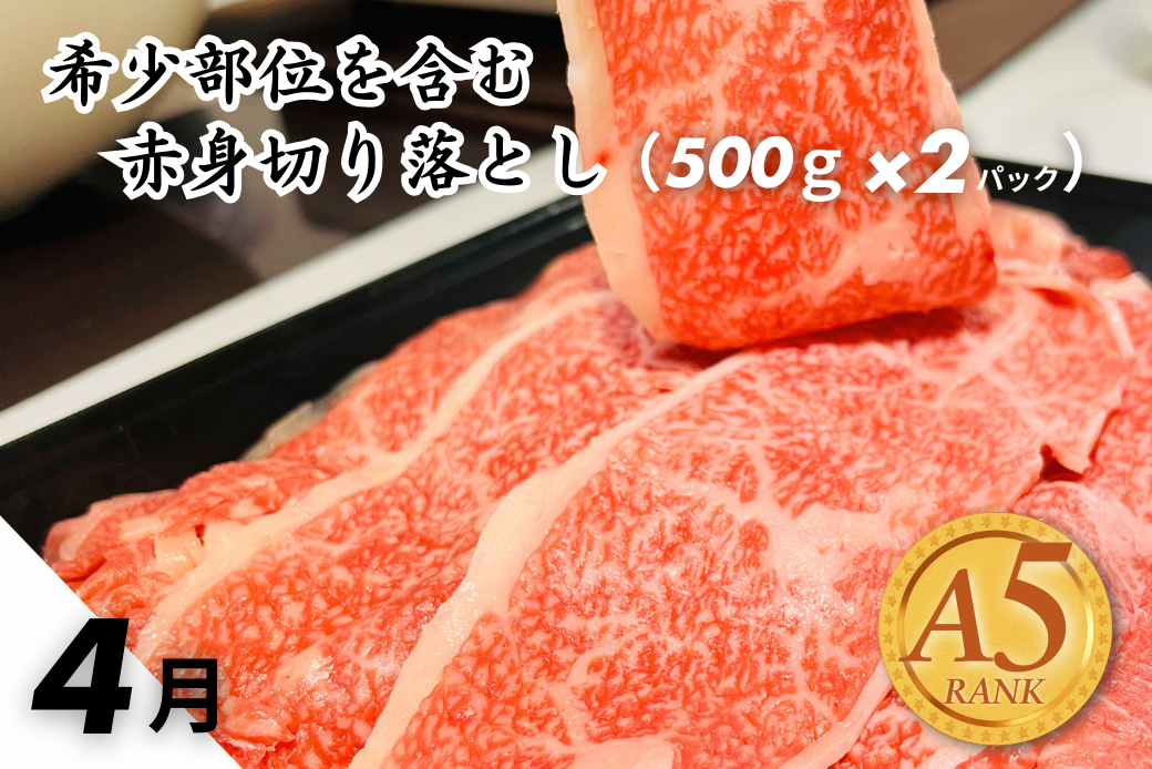 【定期便3回】佐賀牛（プレミアム）彩り定期便 すき焼き しゃぶしゃぶ ステーキ 焼肉 赤身 切り落とし 合計3kg：B875-001