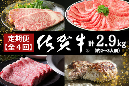 【定期便4回】佐賀牛セット 2.9kg（約2〜3人前）：B985-003